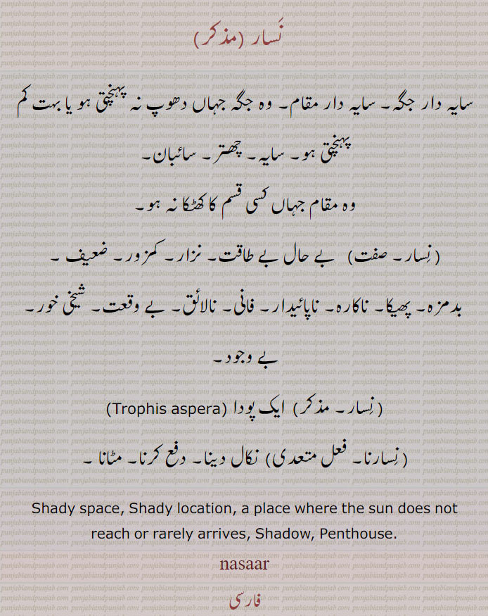 ڈھکنا۔ جاری کرنا۔ بہار کرنا۔پودا۔ فانی۔ نالائق۔ شیخی خورا۔ کمزور۔ سایہ۔ سائبان۔ سایہ دار جگہ۔پھوکا۔ نزار۔ تھوتھا۔ ساہ رہت۔ ایک بیل ۔ پھیلاؤ۔پانی کی دھار۔ رہٹ کا پانی حوض تک لے جانے والا پارچھا۔ اولو۔ نسارنا۔ نسرساں۔ نسریا۔ نساردا۔ نسارن۔  Trophis aspera