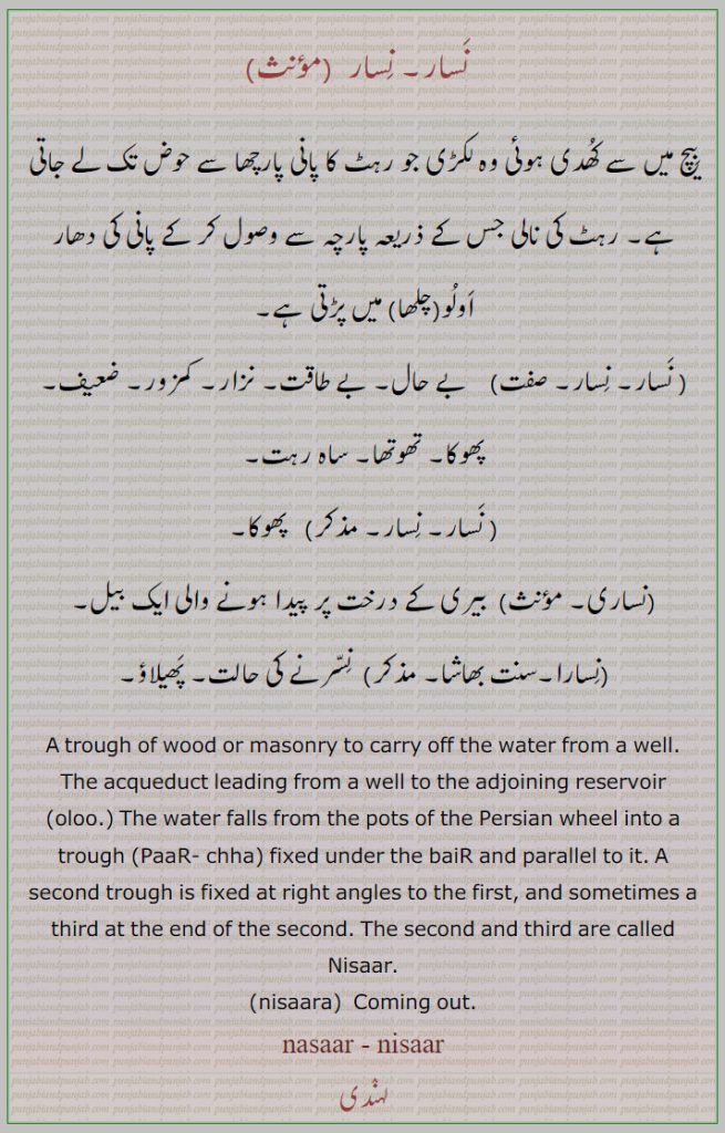   نسار, نسارا, nasaar, nisaar, ਨਿਸਾਰ,nasaar, nisaara, ਨਿਸਾਰਾ ,nisaran, ਨਿਸਰਣ ,