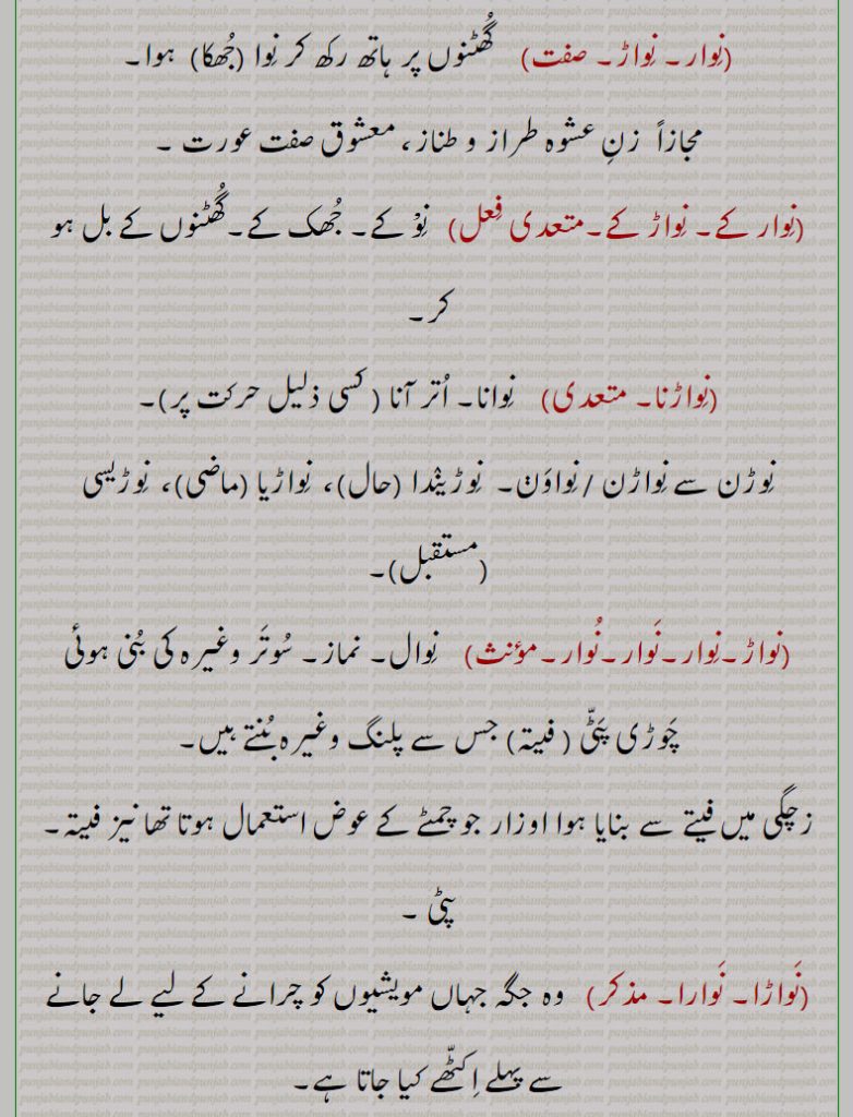 . پرنور۔ روشن۔ کشتی۔ کھیل میں نو۔ مویشیوں کو چرانے کے لیے جہاں پہلے اکھٹا کیا جاتا ہے وہ جگہ۔ ریشم کا بنا کپڑا۔ چوڑی پٹی فیتہ۔ نماز۔ سوتر کی بنی پڑی۔ اتر آنا۔ معشوق عورت۔ زن عشوہ طراز و طنار۔ گھٹنوں پر ہاتھ رکھ کر جھکا۔نوالاں کھوہنا۔ سمپورن۔ ہٹانا۔ مدد کرنا۔ سہائتا۔ پرانہہ سٹ۔ چھٹکارا دینے والا تجزیہ نکھیڑنا۔ آوارہ پھرنا۔  بنیڑ۔ ختم۔ حفاظت کرنا۔ روکنا۔ مداخلت۔ مخالفت۔ بچانا۔