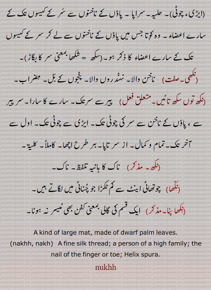  نکھ ,nukhh,ਨਖ਼,nakhh,ਨੁਖ,nakh,نخ, نُہ، کھجوری چٹائی۔ نخ۔ ریشم کے سوت کے تار۔ زردوزی  اور موتی کی لڑی کے لیے باریک تار تاگا۔ پتنگ کی ڈور۔ خاندانی آدمی۔ کُلین آدمی۔  نوخن۔ نونہہ۔ ناخون۔ بیس کا مجموعہ۔ پنجہ۔ چنگل۔ ٹوٹا۔ نیرا۔ ٹکڑا۔ خوشبودار داائی۔ ابریشم۔ کچا ریشم۔ حلیہ۔ سراپا۔ اظفارالطیب۔ ناخن بویا۔ دریائی کیڑا سیپ جیسا۔شاعری جس میں سر سے پاؤں تک ذکر ہو۔ از سرتاپا۔ کاملا۔ کلیۃ/ ناک کا ہائیہ۔ چوتھائی اینٹ۔نہندروں والامضراب۔گالی۔ کفن بھی میسر نہ ہو۔نکھاپنا۔ نکھا۔ نکھ توں سکھ تائیں۔نکھی۔ نکھ سکھ۔ نک سکھ ۔ نکھسکھ۔ نکھشکھ۔ نکھ شکھ۔
fine silk thread. hwliz spura. nail finger or toe. person of high family,
large mat dwarf palm leave