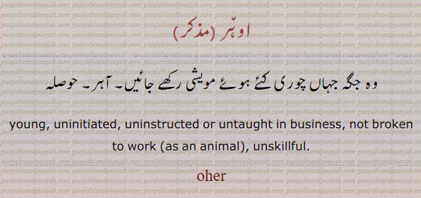  oher,اوهر ,ਔਹਰ, young. uninitiated. intaught. not broken. inskillgul.وہ جگہ جہاں چوری کئے مویشی رکھاے جائیں۔ آہر۔ حوصلہ۔
