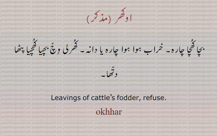  اوکھر , okhhar,ਉਖਰ, بچا چارہ, ,refuse. leavings of cattle s fodder, بچا کھچا چارہ۔ کھرلی میں بچا۔ بچیا کھچیا پٹھا دتھا