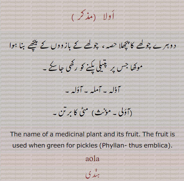  اوہلا۔ اوڈھر۔ اہلا۔ اولھ۔ اولھا۔ اولا۔ اوٹ۔ کمین گاہ۔ روک جو چھتی ہو۔ بچاؤ۔ آسرا۔ سہارا۔ جائے پناہ۔ پردہ۔ بھید۔ لکا۔ پیچھے۔ ہیولی۔ عکس۔ بجری۔ گڑا۔ ایک مٹھائی۔ چینی کا گولا جس سے۔دوہرے چولھے چولہے کا پچھلا حصہ۔ موکھا جس پر پتیلی۔ آؤلہ۔ آملہ۔ آولہ۔ مٹی کا برتن۔fruit for pickles.