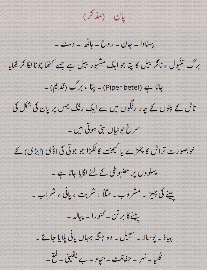  پان,paan,pan,ਪਾਨ,ਪਾਣ, برتن, پہناوا۔ جان روح۔ ہاتھ۔ دست۔ برگ تنبول۔ ناگر بیل کا پتا۔ برگ۔ تاش کا پتا تراش کا چمڑے یا کیمخت کا ٹکڑا جو جوتی کی ایڑی اڈی کے ساتھ۔ پینے کی چیز۔ مشروب۔ پینے کا برتن۔ کٹورا۔ پیالہ۔پیاؤ۔ پوسالا۔ سبیل۔ کلیا۔ نہر۔ حفاظت۔ بچاؤ۔ بے یقینی۔ فتح۔