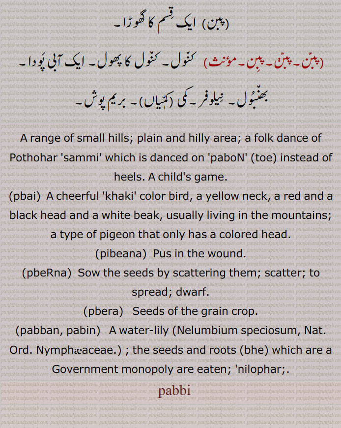 پبّی,پبئی,پبیانا,پبیڑنا,پبیرا,پبن,pbai,pibeana,pbeRna,pbera,pabban, pabin,  ਪੱਬਨ ,  A water-lily,Nelumbium speciosum,  پبی, pabbi, ,  pabban, pabin,  ਥਨ,pbera,pbeRna,pibeana,pbai,