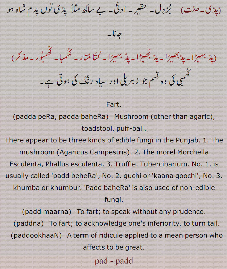 Fart,padda peRa, padda baheRa,  ਪੱਦ ਪੇੜਾ, ਪੱਦ ਬਹੇੜਾ, Mushroom,paddna, ਪੱਦਣਾ,paddookhaaN,  ਪੱਦੂਖਾਂ,padd , ਪੱਦ ,  
