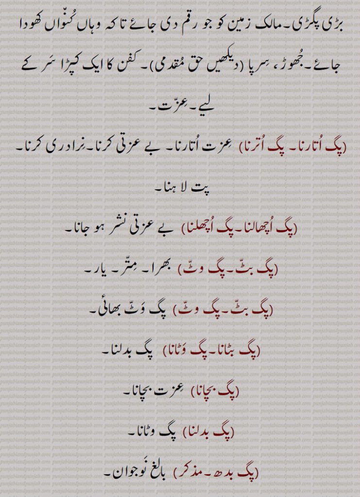       پگ,پگ ٹپنی,پگ چنھ,پگ ڈنڈی,پنگ,پگ اتارنا, پگ اترنا,پگ اچھالنا,پگ ,پگ رولنا, پگ رلنا,پگ سڑ جانا,پگ سنجاننا پیو دی,پگ لاہنا,پگ لہاؤنا,پگ نوں داغ لانا,پگ نوں ہتھ پانا,پگ وٹ,پگ وٹ بھائی, وٹ بھین,پگ وٹا, پگ وٹاونا, بھائی بننا, پکا بیلی بنانا ,پگ ونڈ, چونڈاونڈ,پگ ویچ کے گھے کھانا, پگ ویچی کے گھی کھانا,پگو پگی ہونا, پگو پگی ہتھی ہونا,پگی نوں ہتھ پانا,پگڑی,پگ ، پاؤں۔ پیر۔ قدم۔ ڈنگھ۔ فٹ نوٹ۔ کھرا۔ پیڑ۔ پاؤں کا راستہ۔ پگڈنڈی۔ کھیت کا تنگ راستہ۔ ڈنڈی۔ پوں۔ پانسہ کی کھیل کا نشان۔ پگنا۔نکا۔ پگڑی۔ دستار۔ صافہ۔ مالک زمین کو جو رقم ۔ جھوڑ۔ سرپا حق مقدی۔ کفن کا کپڑا ۔عزت۔نرادری کرنا۔ متر۔ یار۔ بھرا۔