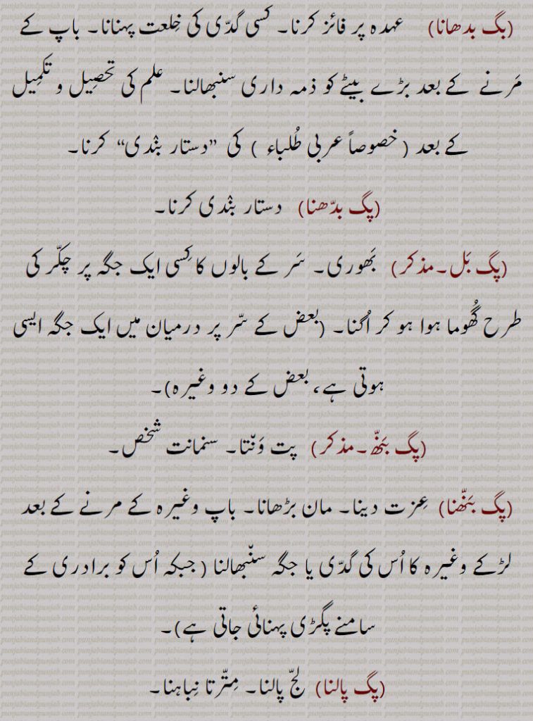  پگ وٹ بھائِ۔ پگ بدلنا۔عزت بچانا۔ پگ وٹانا۔ بالغ نوجوان۔ عہدہ پر فائز۔ گدی کی خلعت پہنانا۔ دستار بدنی۔ بھوری۔ سر پر بالوں کا چکرا۔ پت ونتا۔ سنمانت۔مان بڑھانا۔ لج پالنا۔ مترتا نباہنا۔ چادی کی پہناؤنی۔ پگڑی تہمبند کا لٹھا۔ جھگا چنی۔ باپ کا وارث۔ رشتہ دار ہونا۔یک جدی رشتہ۔ بچہ کا باپ کو پہچاننا۔بدنامی کم ہونا۔ پفڑی بدل کر۔ دوپٹہ وٹ بہن۔زمین کی تقسیم کا رواجی طریقہ۔ جونڈا ونڈ۔ حثیت سے زیادہ خرچ کرنا۔ بے عزتی کرنا۔ہاتھا پائی ہونا۔ پگڑی اتارنا۔