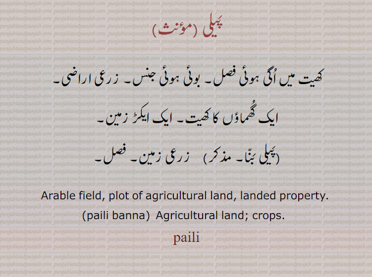   پیلی , ਪੈਲ਼ੀ , peli , ਪੈਲ਼ੀ ਬੰਨਾ, paili banna، کھیت میں اگی فصل۔ بوئی ہوئِ جنس۔ زرعی اراضی۔ فصل۔ زرعی زمین۔ ایک ایکڑ زمین۔ ایک گھماؤں کا کھیت۔Arablr field. plot of agricultural land. landed property. agricultural land. srops.