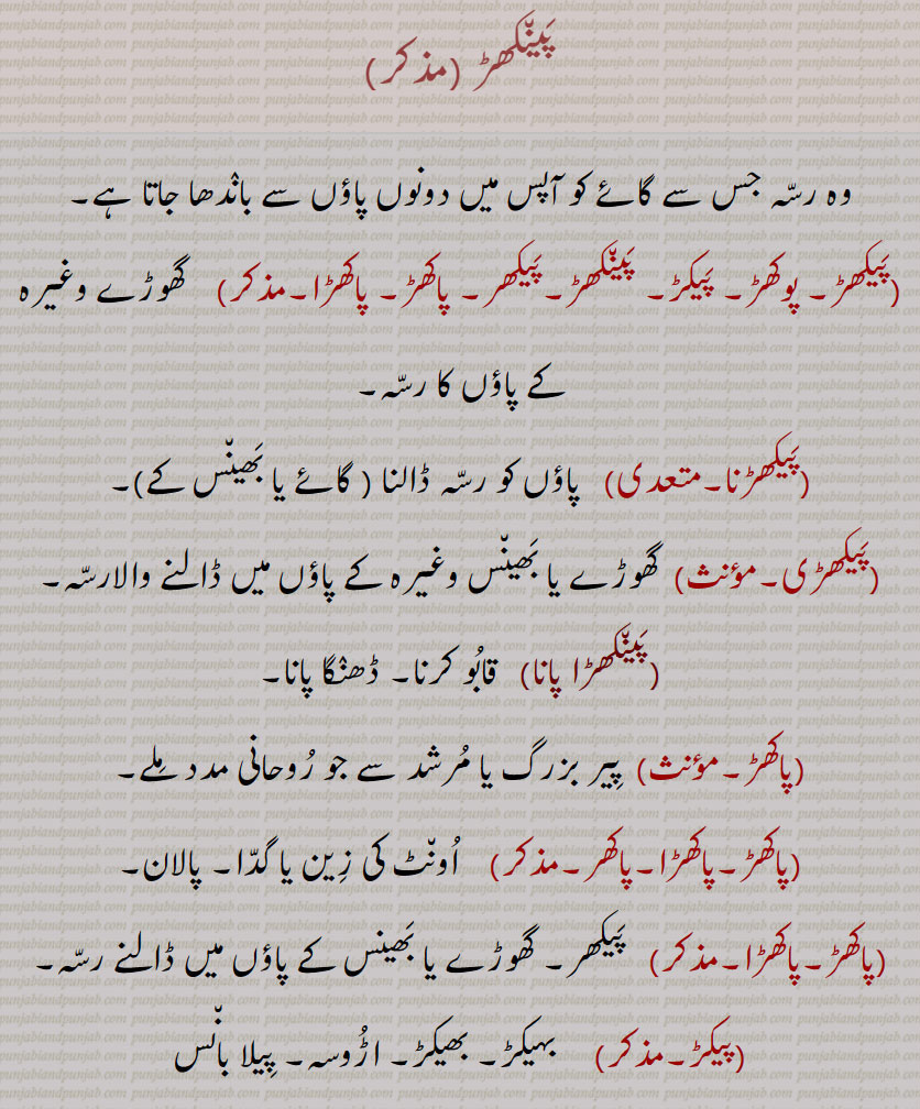      پینکھڑ  ,painkhar,پینکھڑ,پیکھڑ,پوکھڑ, پیکڑ, پینکھڑ,پیکھر, پاکھڑ,پاکھڑا,پیکھڑنا,پیکھڑی,پینکھڑا پان, پیکڑیں, پیکڑی, پونکھڑ,بھگوڑے ڈھور ۔ ٹانچ ٹنچ۔ چھان چھن۔ دامن۔ وادی۔ تھیڑی۔ ریت۔ عادت۔ رسم۔ لوہے کا چھلا۔ سنگل۔پاؤں کا نقری زیور۔ پاؤں کا کڑا۔ کلوا۔ ڈنگر کا رسہ۔ تاکہ بھاگ نہ جائیں۔