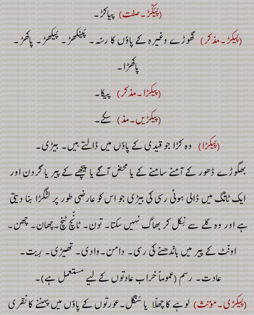 وہ رسہ جس سے گائے کو آپس میں دونوں پاؤں سے باندھا جائے۔ گھوڑے کے پاؤں کا رسہ۔ قابو کرنا۔ ڈھنگا پانا۔ پیر مرشد سے جو روحانی مدد ملے۔اونٹ کی زین یا گدا پالان۔ بہیکڑ۔ بھیکڑ۔اڑوسہ۔پیلا بانس۔ پیکا۔ سکے۔ قیدی کا کڑا۔ بیڑی۔ 
