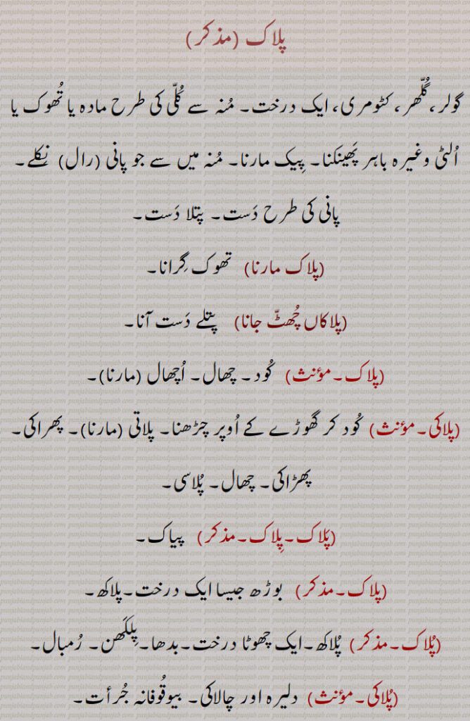 پلاک,گولر،گُلّھر، کٹومری، ایک درخت۔ مُنہ سے کُلّی کی طرح مادہ یا تُھوک یا اُلٹی   پَھینکنا۔ پِیک مارنا۔, پانی (رال)  نِکلے۔ پانی کی طرح دَست۔,
 ,  کُود۔ چھال۔ اُچھال ,پلاکی, کُود کر گھوڑے کے اُوپر چڑھنا, پلاتی, پھراکی۔ پھڑاکی, چھال۔ پُلاسی۔,پَلاک, پیاک۔
,پلاک, بوڑھ جیسا ایک درخت۔پلاکھ,بدھا  پِلکَھن۔ رُمبال۔
,پُلاکی, دلیرہ اور چالاکی۔ بیوقُوفانہ جُرأت۔
,۔پلکھی۔ پاکر۔ پکریا۔خبر۔وَر۔جنٛگلی پَیلی۔
,پلاکھا, پِلکھن درخت والا ایک دوِیپ۔ سات دوِیپوں میں سے ایک۔