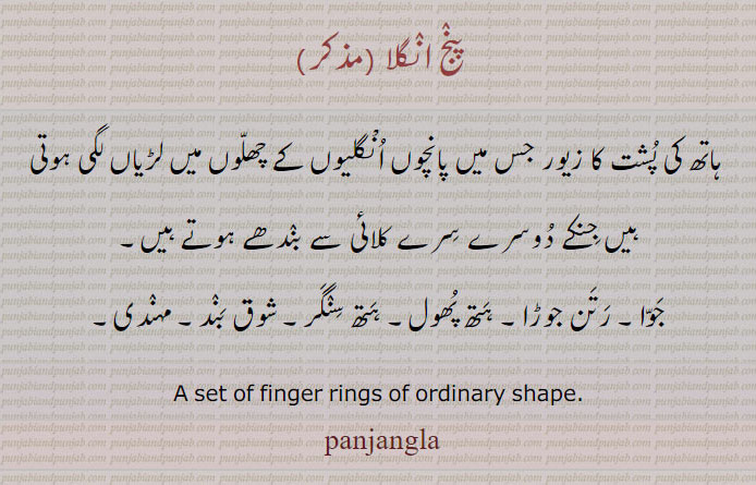 جوا۔ رتن جوڑا۔ ہتھ پھول۔ شوق بند۔ پنج انگلا۔ ہتھ سنگر۔ مہندی۔ جوا, رتن جوڑا, ہتھ پھول, شوق بند, پنج انگلا, ہتھ سنگر, مہندی,  panjangla,ਪੰਜਾਂਗਲਾ, set of finger ring, panj angla