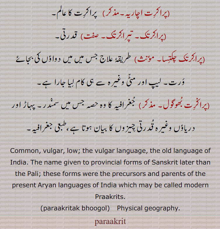 common vulgar. low. language. old. physical geography.parakrit. prakrat. pali.