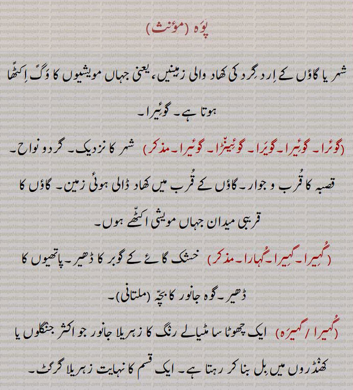  پوہ ,گوئرا, گوئیرا,گویرا, گوئینڑا, گوئیرا, گہیرا,گہیرا,گہارا,گہیرا , گہیرہ, زہریلا گرگٹ۔ جانور۔ مٹیالے رنگ کا ۔ گوہ جانور کا بچہ۔ خشک گوبر۔ چہر کے نزدیک کھاد والی زمین۔ جہاں مویشی کے وگ اکٹھے ہوں۔