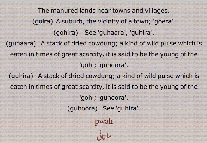 The manured lands near towns and villages,goira,  ਗੋਇਰਾ,gohira,  ਗੋਹੀਰਾ ,guhaara,  ਗੁਹਾਰਾ,guhira,  ਗੁਹੀਰਾ,guhoora,  ਗੁਹੂਰਾ ,پوہ, pawah, ਪਵਹ, pwah.  . stack of dries cowdung. kind of pulse, yong goh. Monitor lizards,animal