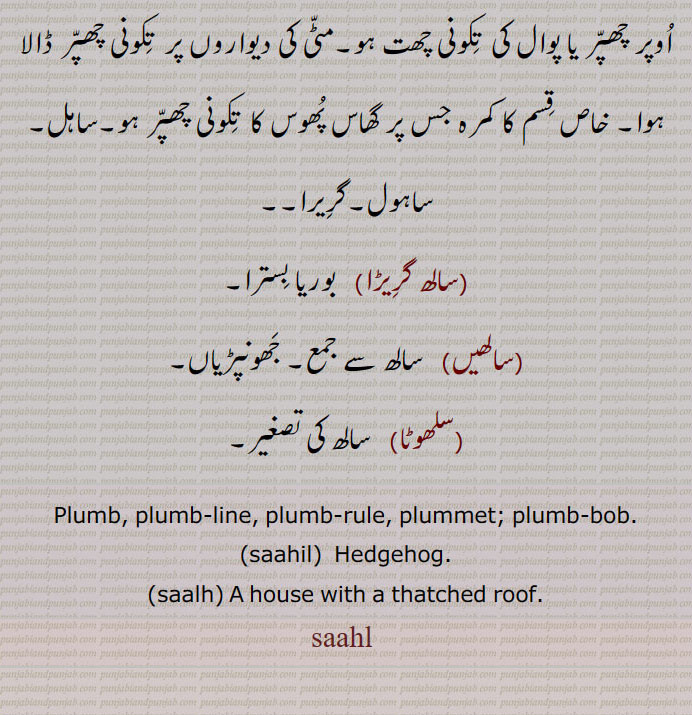 Plumb, plumb-line, plumb-rule, plummet; plumb-bob,saahil,  Hedgehog,saalh, house with a thatched roof,ساہل,saahl,ਸਾਹਲ, سالھ ,saalh, ਸਾਲ੍ਹ, 
