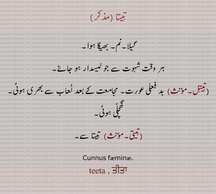 تیتا,گیلا,نم, بھیگا ہوا,, لیسدار,۔تیتل, بد فعلی عورت, گھچلی ہوئی,تیتی,Cunnus femine,teeta , ਤੀਤਾ, abuse, Slang