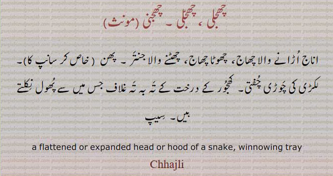 چھجلی ، چھجلی ، چھجنی, a flattened or expanded head or hood of a snake. winnowing tray
چھجلی,Chhajli,ਛਜਲੀ، اناج اُڑانے والا چھاج۔ چھوٹا چھاج۔ چھٹنے والا جنتر۔ پھن خآص کر سانپ۔ لکڑی کی چوڑی چفتی۔ کھجور کے درخت کے تہ بہ تہ غلاف جس میں سے پھول نکلتے ہیں۔ سیپ۔