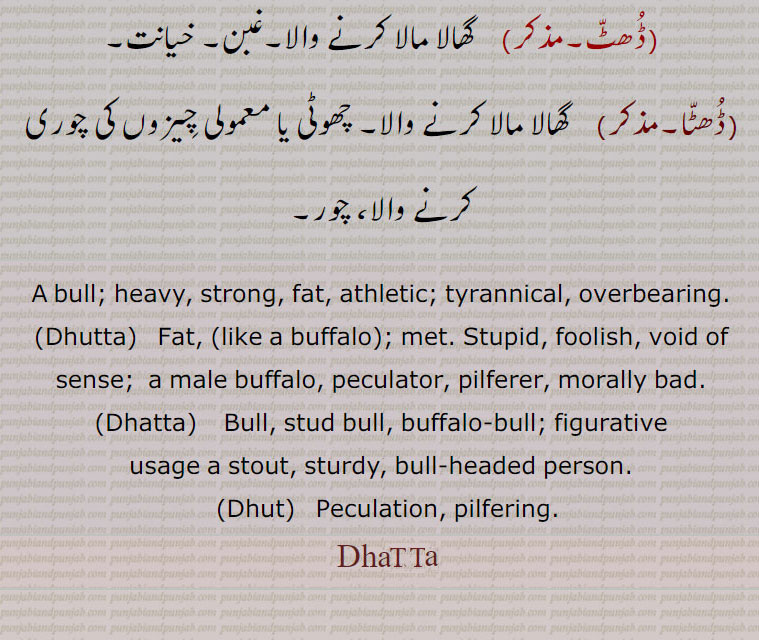 A bull; heavy, strong, fat, athletic; tyrannical, overbearing.
,Dhutta,   Fat, (like a buffalo); met. Stupid, foolish, void of sense;  a male buffalo, peculator, pilferer, morally bad.,Dhatta,    Bull, stud bull, buffalo-bull; figurative usage a stout, sturdy, bull-headed person.,Dhut,   Peculation, pilfering.,Dhatta,,Dhatta, ਢੱਟਾ, Dhutta, ਧੂੱਤਾ,Dhatta, ਢੱਟਾ, Dhut,  ,ڈھٹ,Dhatta, ਢੱਟਾ, Dhutta, ਧੂੱਤਾ,Dhatta, ਢੱਟਾ, Dhut , animal, جانور