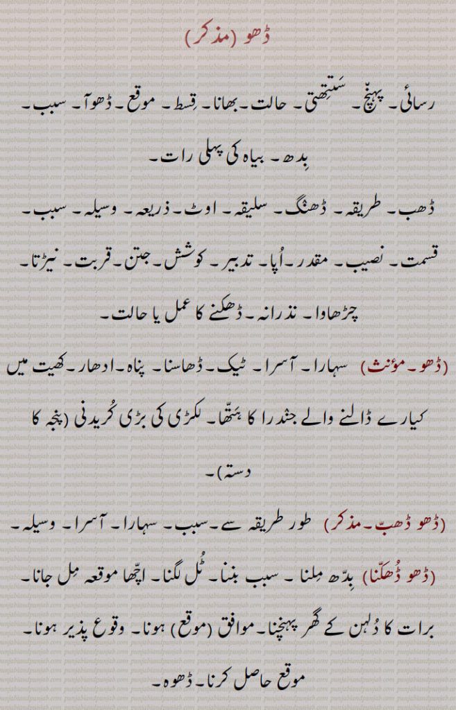 ڈھو ,رسائی۔ پہنچ۔ ستتھتی۔ حالت۔بھانا۔ قسط۔ موقع۔ڈھوآ۔ سبب۔ بدھ۔ بیاہ کی پہلی رات,ڈھب۔ طریقہ۔ ڈھنگ۔ سلیقہ۔ اوٹ۔ذریعہ۔ وسیلہ,سبب۔قسمت۔ نصیب۔ مقدر۔اپا۔ تدبیر۔ کوشش۔ جتن۔ قربت, نیڑتا۔چڑھاوا۔ نذرانہ۔ڈھکنے کا عمل یا حالت,ڈھو, سہارا۔ آسرا۔ ٹیک۔ڈھاسنا۔ پناہ۔ادھار۔کھیت میں کیارے ڈالنے والے جندرا کا ہتھا۔ لکڑی کی بڑی کریدنی ,پنجہ کا دستہ ,ڈھو ڈھب۔,   طور طریقہ سے۔سبب۔ سہارا۔ آسرا۔ وسیلہ,ڈھو ڈھکنا, بدھ ملنا ۔ سبب بننا۔ ٹل لگنا۔ اچھا موقعہ مل جانا۔ برات کا دلہن کے گھر پہنچنا۔موافق (موقع) ہونا۔ وقوع پذیر ہونا۔ موقع حاصل کرنا۔ڈھوہ,ڈھو ڈھکدا دسن,  کام سنورتا نظر آنا۔ گل بندی لگنا,