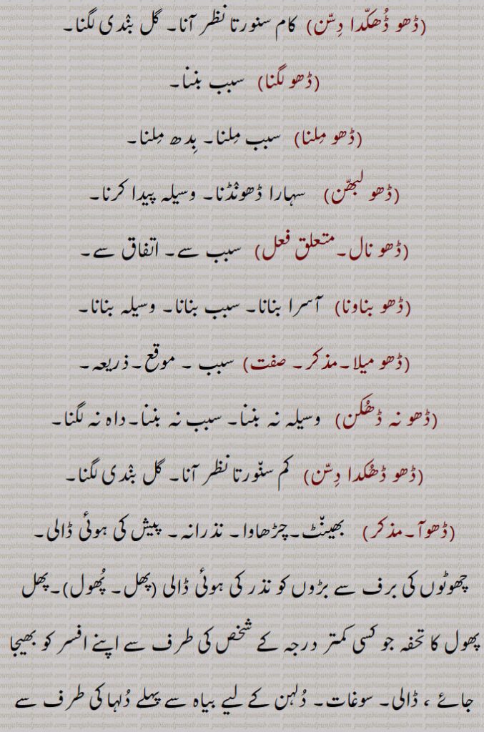 ,ڈھو لگنا,  سبب بننا,ڈھو ملنا,  سبب ملنا۔ بدھ ملنا,ڈھو لبھن,    سہارا ڈھونڈنا۔ وسیلہ پیدا کرنا,ڈھو نال,  سبب سے۔ اتفاق سے,ڈھو بناونا)   آسرا بنانا۔ سبب بنانا۔ وسیلہ بنانا,ڈھو میلا,  سبب ۔ موقع۔ذریعہ,ڈھو نہ ڈھکن,   وسیلہ نہ بننا۔ سبب نہ بننا۔داہ نہ لگنا,ڈھو ڈھکدا دسن,   کم سنورتا نظر آنا۔ گل بندی لگنا,ڈھوآ,   بھینٹ۔چڑھاوا۔ نذرانہ۔ پیش کی ہوئی ڈالی۔ چھوٹوں کی برف سے بڑوں کو نذر کی ہوئی ڈالی (پھل۔ پھول)۔پھل پھول کا تحفہ جو کسی کمتر درجہ کے شخص کی طرف سے اپنے افسر کو بھیجا جائے ، ڈالی۔ سوغات۔ دلہن کے لیے بیاہ سے پہلے دلہا کی طرف سے بھیجے زیور کپڑے وغیرہ (آنا)۔ ڈھکاؤ,بارات کے ڈھکنے کی حالت۔