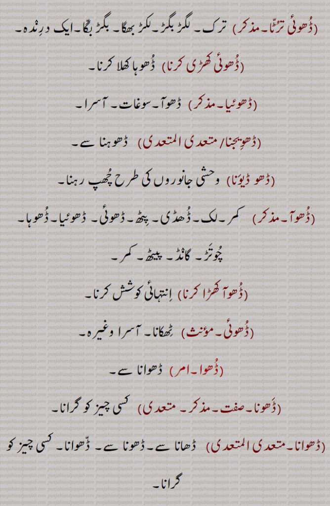 ڈھوہی دا ٹل/زور لانا,  پورا زور لگانا,ڈھوہی نہ لگنا,   ٹک کر نہ بیٹھنا,ڈھوئی,  ڈھوہی۔ڈھو۔ آسرا۔ ڈھوآ,ڈھوہ گھتنا,  کٹی ہوئی فصل کو گٹھڑیاں باندھ باندھ کر اٹھانا,ڈھوہ لوانی, سہارا دینا۔آرام کرنے کے لئے  تکیے وغیرہ دینا,ڈھوک, ڈھونے کا عمل۔بستی,ڈھوئی,ڈھوہی,ڈھوئی ترٹا,  ترک۔ لگڑ بگڑ۔لکڑ بھگا۔ بگڑ بگا۔ایک درندہ,ڈھوئی کھڑی کرنا,ڈھوہا کھلا کرنا,ڈھوئیا,  ڈھوآ۔سوغات۔ آسرا,ڈھویجنا,  ڈھوہنا سے,ڈھو ڈیونا,  وحشی جانوروں کی طرح چھپ رہنا,ڈھوآ,   کمر۔لک۔ڈھڈی۔ پٹھ۔ڈھوئی,ڈھوئیا۔ڈھوہا۔ چوتڑ۔ گانڈ۔ پیٹھ۔ کمر,ڈھوآ کھڑا کرنا,  انتہائی کوشش کرنا,ڈھوئی,   ٹھکانا۔ آسرا وغیرہ,ڈھوا, ڈھوانا سے,ڈھونا,  کسی چیز کو گرانا,ڈھوانا,  ڈھانا سے۔ڈھونا سے۔ ڈھوانا۔ کسی چیز کو گرانا,ڈھہاؤنا۔ڈھہاوانا,   کسی چیز کو گرانا۔,مسمار کرنا یا مٹانا۔ کسی کو کشتی میں شکست دینا یا حاصل کرنا,ڈھوائی,  ڈھاہنے کا کام یا اجرت۔ ڈھوائی,ڈھوا,  ڈھوانا سے,ڈھوانا,  ڈھونا سے۔ڈھونے کا کام کرنا۔ڈھا سے۔ ڈھوانا,ڈھوائی, ڈھلائی۔ڈھونے کا کام یا اجرت۔ ڈھوائی,ڈھوا,بہانہ۔ حیلہ,ڈھوا دھرنا