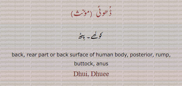 Dhoi,Dhoee, ਢੂਈ,back. rear part or back surface of human body. posterior. rup. buttock. anus.
 ڈھوئی۔ کولھے۔ پیٹھ۔ پٹھ۔پٹ