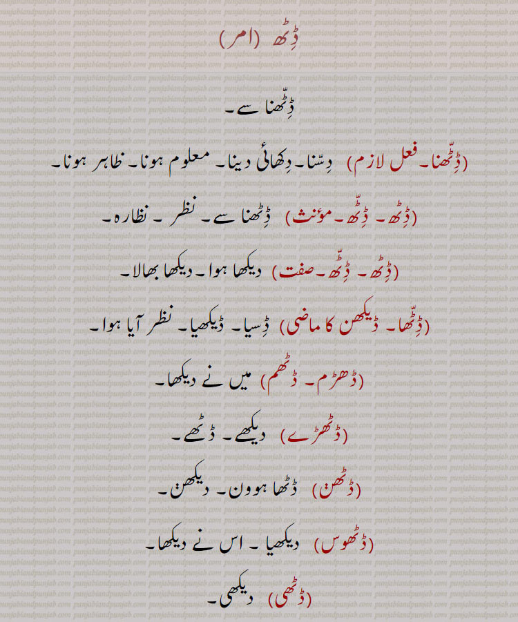 ڈٹھ  ,ڈٹھنا سے,ڈٹھنا, دسنا۔دکھائی دینا۔ معلوم ہونا۔ ظاہر ہونا,ڈٹھ, ڈٹھنا سے۔ نظر ۔ نظارہ۔, ڈٹھ, دیکھا ہوا۔دیکھا بھالا,ڈٹھا۔ ڈیکھن ,  ڈسیا۔ ڈیکھیا نظر آیا ہوا,ڈھڑم, میں نے دیکھا,ڈٹھڑے,  دیکھے۔ ڈٹھے,ڈٹھن,  ڈٹھا ہوون۔ دیکھن,ڈٹھوس,   دیکھیا ۔ اس نے دیکھا,ڈٹھی,   دیکھی,ڈٹھیاں, دیکھیاں ڈٹھنا، ,    چٹھ,ڈٹھ بند,  نظر بند کرنے والا جادوگر,ڈٹھ ونٹھ,   دیکھا داکھی,ڈٹھا سنیا, جانا پہچانا,ڈٹھا بھالیا,  تولیا تکیا۔ جچا تلا,ڈٹھا ویسی,  دیکھا جائے گا,ڈٹھرا۔ ڈٹھڑا,  ڈٹھا سے تصیغیر,ڈٹھو سے , ہم نے دیکھا,ڈٹھیا بھار لہنا (واٹھیا))  جانا بوجھا۔ دیکھیا جانیا,ڈٹھیا بھکھ لہنا, بہت خوبصورت ہونا,To see; To know.,DiTh