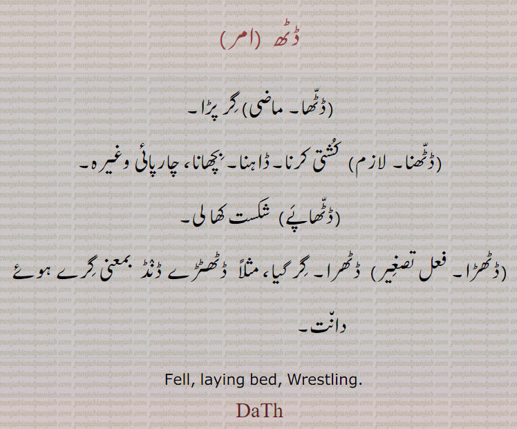 ڈٹھ ,ڈٹھا, گر پڑا,ڈٹھنا, کشتی کرنا۔ڈاہنا۔ بچھانا، چارپائی وغیرہ,ڈٹھاپے,  شکست کھا لی,ڈٹھڑا, ڈٹھرا۔ گر گیا، مثلاً  ڈٹھٹڑے ڈنڈ  بمعنی گرے ہوئے دانت,   Fell, laying bed, Wrestling.,DaTh, ਦੇਖਣ, ਡੀਖਨ, ਡਠ
