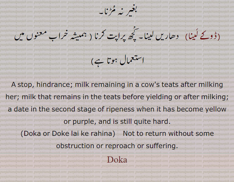 A stop, hindrance; milk remaining in a cow's teats after milking her; milk that remains in the teats before yielding or after milking; a date in the second stage of ripeness when it has become yellow or purple, and is still quite hard.,Doka or Doke lai ke rahina,    Not to return without some obstruction or reproach or suffering. Doka ,ਡੋਕਾ,
