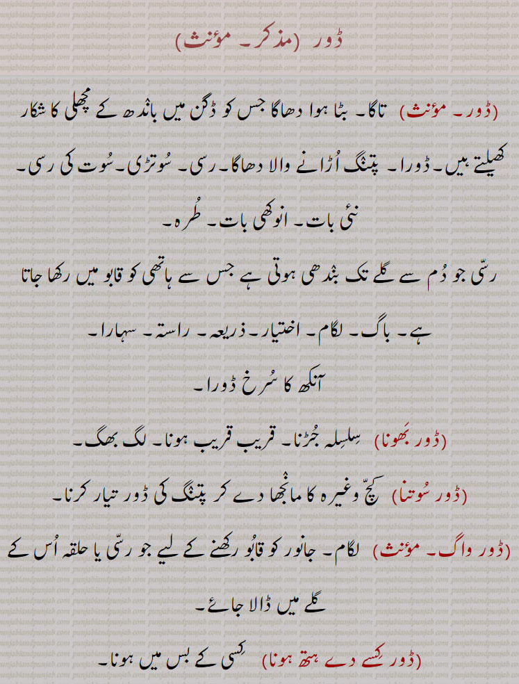 ڈور, تاگا۔ بٹا ہوا دھاگا جس کو ڈگن میں باندھ کے مچھلی کا شکار کھیلتے ہیں۔ڈورا۔ پتنگ اڑانے والا دھاگا۔رسی۔ سوتڑی۔سوت کی رسی۔
نئی بات۔ انوکھی بات۔ طرہ,رسی جو دم سے گلے تک بندھی ہوتی ہے جس سے ہاتھی کو قابو میں رکھا جاتا ہے۔ باگ۔ لگام۔ اختیار۔ذریعہ۔ راستہ۔ سہارا۔
 آنکھ کا سرخ ڈورا,ڈور بھونا,  سلسلہ جڑنا۔ قریب قریب ہونا۔ لگ بھگ,ڈور سوتنا,  کچ وغیرہ کا مانجھا دے کر پتنگ کی ڈور تیار کرنا,ڈور واگ,   لگام۔ جانور کو قابو رکھنے کے لیے جو رسی یا حلقہ اس کے گلے میں ڈالا جائے,ڈور کسے دے ہتھ ہونا,   کسی کے بس میں ہونا,