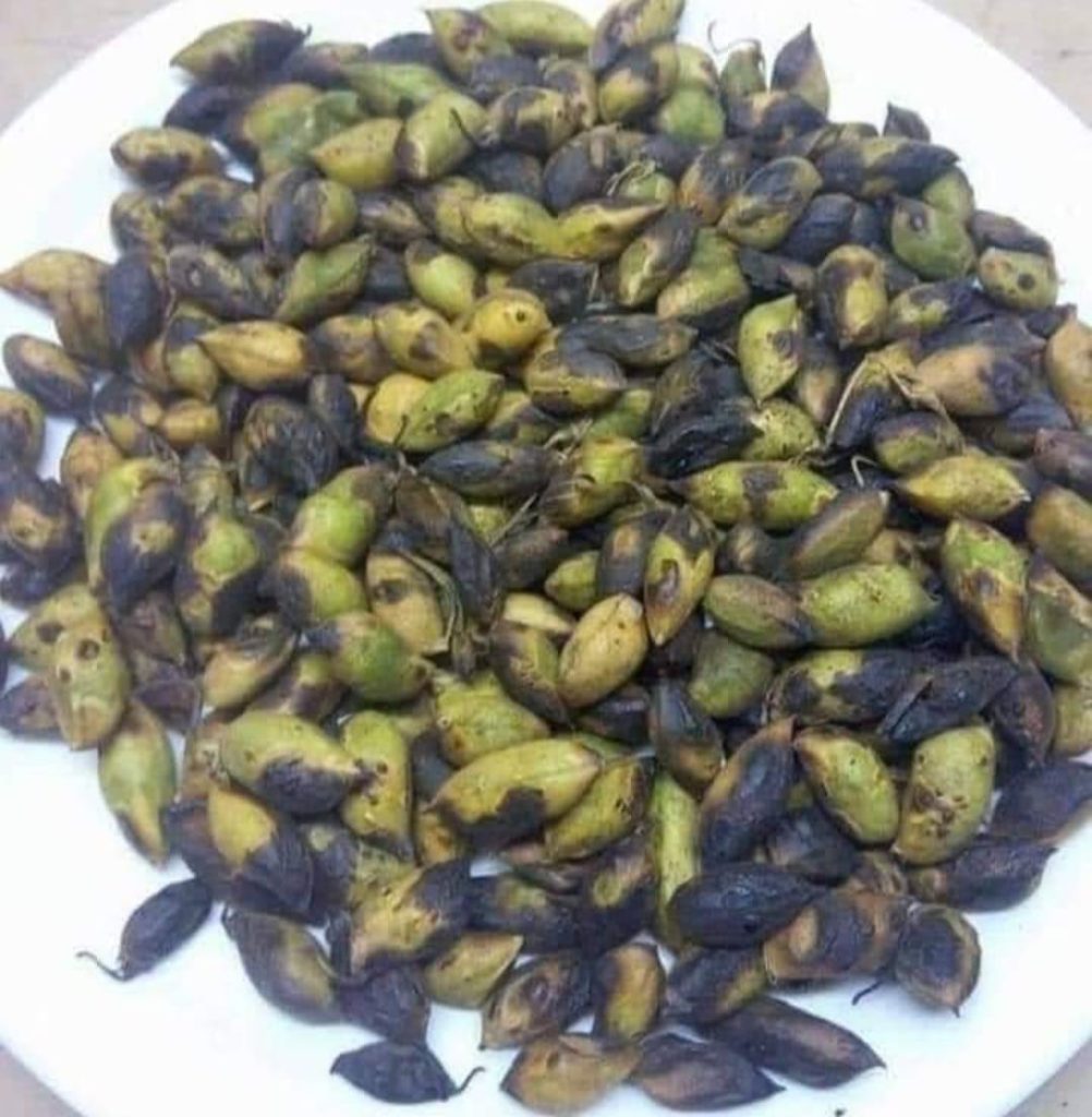 hol, ਹੋਲ੍ਹਾਂ, ਹੋਲਾਂ, ਹੋਲ੍ਹ , holaaN,ہول,ہولھ