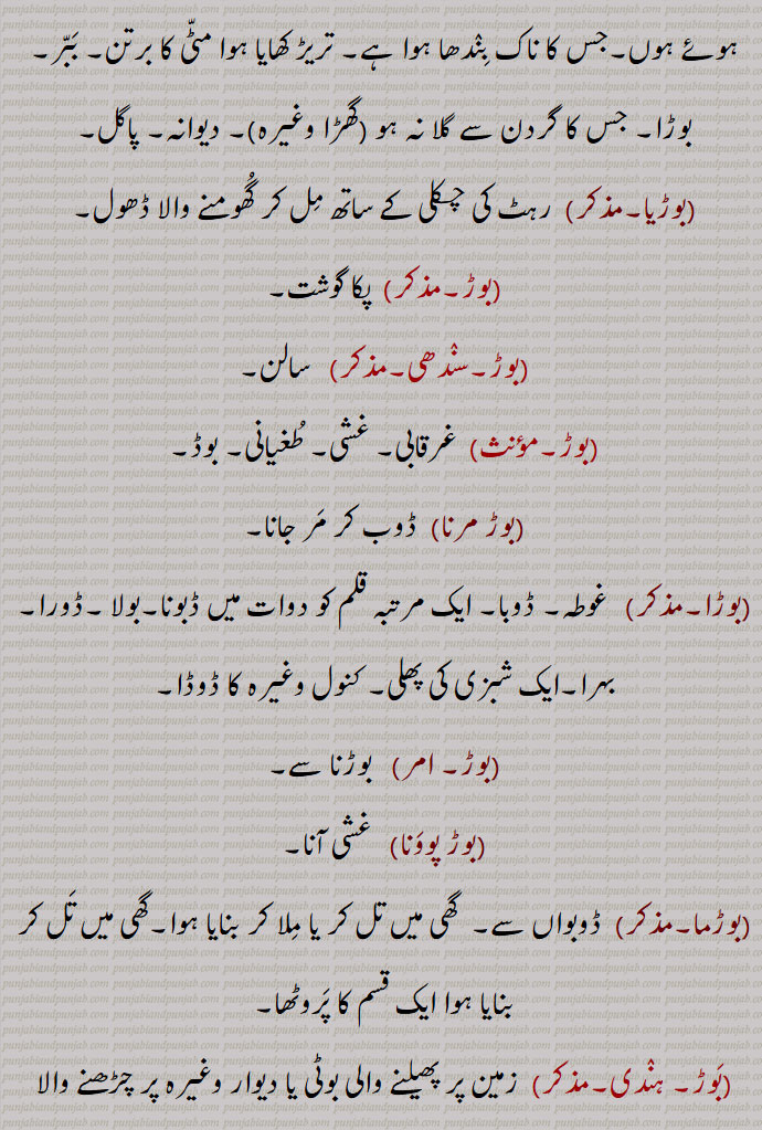 جس کا ناک بندھا ہوا ہے, تریڑ کھایا ہوا مٹی کا برتن, ببر, بوڑا, جس کا گردن سے گلا نہ ہو ,گھڑا وغیرہ, دیوانہ, پاگل,,بوڑیا,, رہٹ کی چکلی کے ساتھ مل کر گھومنے والا ڈھول,,بوڑ,, پکا گوشت,,بوڑ,سندھی,,  سالن,,بوڑ,, غرقابی, غشی, طغیانی, بوڈ,,بوڑ مرنا, ڈوب کر مر جانا,,بوڑا,,  غوطہ, ڈوبا, ایک مرتبہ قلم کو دوات میں ڈبونا,بولا ,ڈورا, بہرا,ایک شبزی کی پھلی, کنول وغیرہ کا ڈوڈا,,بوڑ, امر,  بوڑنا سے,,بوڑ پوونا,  غشی آنا,,بوڑما,, ڈوبواں سے,  گھی میں تل کر یا ملا کر بنایا ہوا,گھی میں تل کر بنایا ہوا ایک قسم کا پروٹھا,,بوڑ, ہندی,, زمین پر پھیلنے والی بوٹی یا دیوار وغیرہ پر چڑھنے والا پودا,
