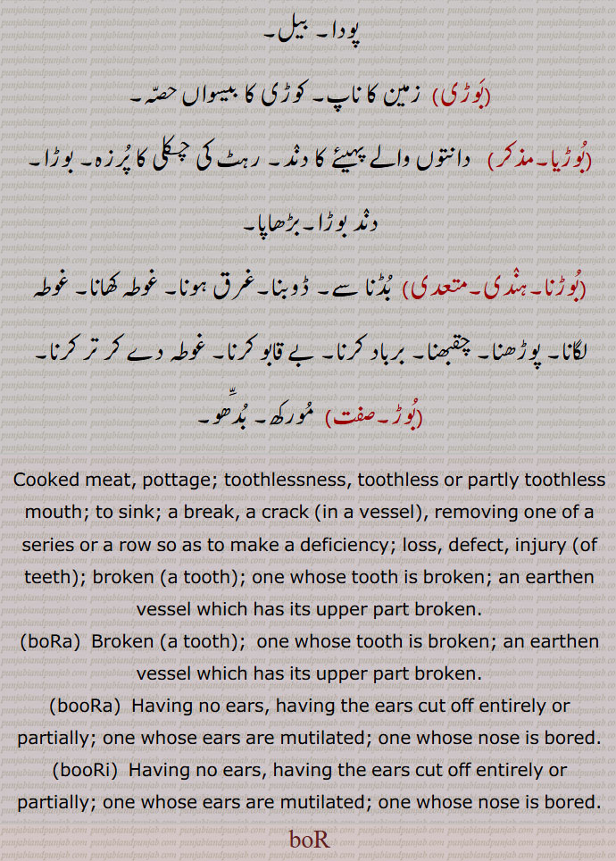  بیل,,بوڑی, زمین کا ناپ, کوڑی کا بیسواں حصہ,,بوڑیا,,  دانتوں والے پہیئے کا دںد, رہٹ کی چکلی کا پرزہ, بوڑا, دند بوڑا,بڑھاپا,,بوڑنا,ہندی,متعدی, بڈنا سے, ڈوبنا,غرق ہونا, غوطہ کھانا, غوطہ لگانا, پوڑھنا, چقبھنا, برباد کرنا, بے قابو کرنا, غوطہ دے کر تر کرنا,,بوڑ,صفت, مورکھ, بدّھو,
Cooked meat, pottage; toothlessness, toothless or partly toothless mouth; to sink; a break, a crack ,in a vessel, removing one of a series or a row so as to make a deficiency; loss, defect, injury ,of teeth; broken ,a tooth; one whose tooth is broken; an earthen vessel which has its upper part broken.,boRa, ਬੋਡ਼ਾ a. Broken ,a tooth;  one whose tooth is broken; an earthen vessel which has its upper part broken.,booRa, ਬੂਡ਼ਾ   Having no ears, having the ears cut off entirely or partially; one whose ears are mutilated; one whose nose is bored.,booRi,  ਬੂਡ਼ੀ  Having no ears, having the ears cut off entirely or partially; one whose ears are mutilated; one whose nose is bored.boR  , ਬੋਰ