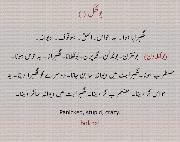 
ਬੁਖਲ، ਬੌਖਲਾਨਾ
بوکَھل ( )
 گھبرایا ہوا۔ بد حواس۔احمق۔ بیوقوف۔ دیوانہ۔
  (بوکھلاون)    بونترن۔بونٛدلن۔گھاپرن۔بَوکھلانا۔گھبرانا۔ بدحوس ہونا۔ مضطرب ہونا۔گھبراہٹ میں دیوانہ سا بن جانا۔دوسرے کو گھبرا دینا۔ بد حواس کر دینا۔ مضطرب کر دینا۔ گھبراہت میں دیوانہ ساکر دینا۔
Panicked, stupid, crazy.bokhal