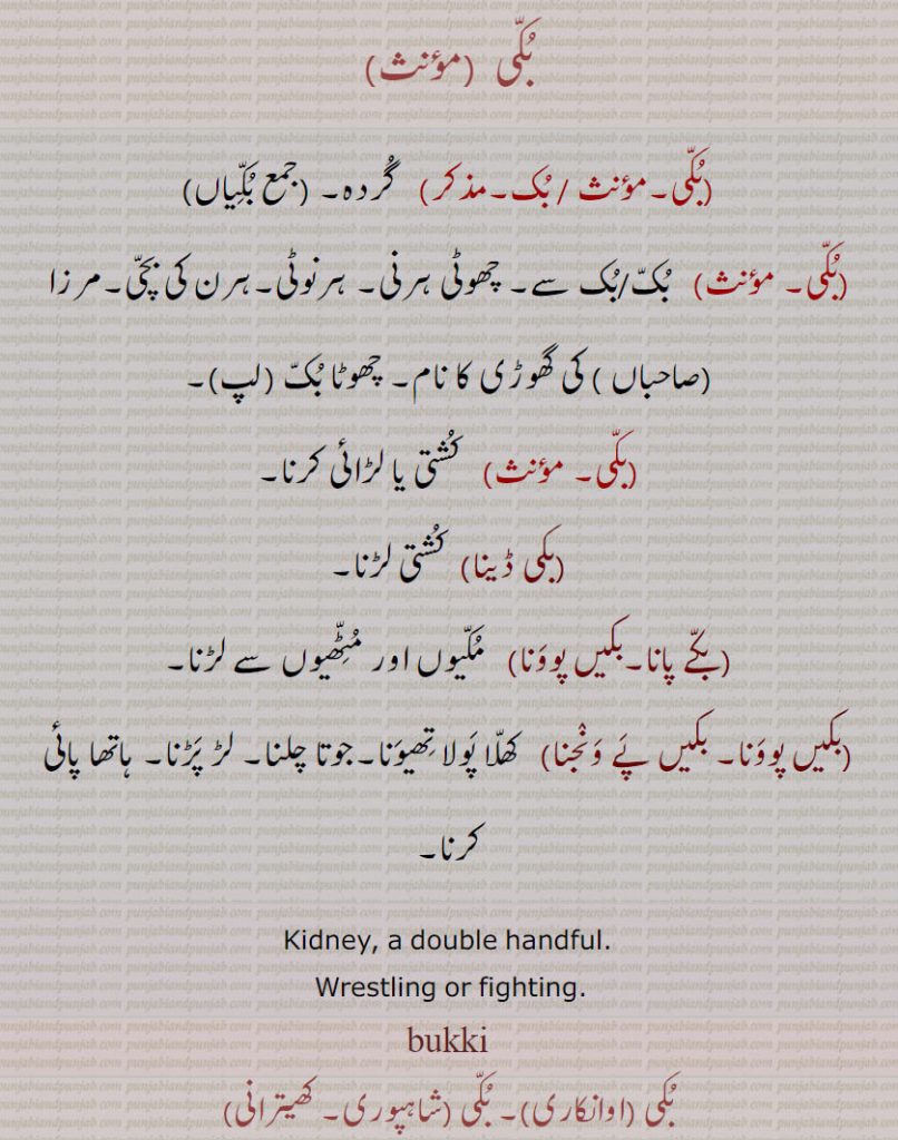 بکی,bukki,Kidney , buki, ਬੁੱਕੀ , ਬੁਕੀ , ਬੁੱਕ,گردہ , بکی , بک, بکیاں, بکی ڈینا, بکے پانا, بکیں پوونا, بکیں پے ونجنا,   ,بکی  ,بکی, بک, گردہ,جمع بکّیاں,بکی, بک/بک سے, چھوٹی ہرنی, ہرنوٹی,ہرن کی بچی,مرزا صاحباں , کی گھوڑی کا نام, چھوٹا بک,لپ, کشتی یا لڑائی کرنا,بکی ڈینا,  کشتی لڑنا,بکے پانا,بکیں پوونا,  مکیوں اور مٹّھیوں سے لڑنا,بکیں پوونا, بکیں پے ونجنا,  کھلا پولا تھیونا,جوتا چلنا, لڑ پڑنا, ہاتھا پائی کرنا,Kidney, a double handful., Wrestling or fighting.,bukki  
