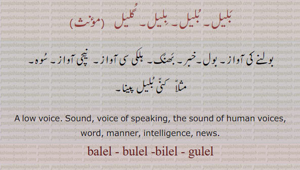 بلیل,گلیل ,bilel, ਬਿਲੇਲ, bulel,  ਬੁਲੇਲ, balel, gulel ,low voice. sound. voice of speaking. the sound of human voice. word. manner. intelligence. news.بولنے کی آواز۔ بول۔ خبر۔ بھنک۔ ہلکی سی آواز۔ نیچی آواز۔ سوہ۔ کنی بلیل پینا۔