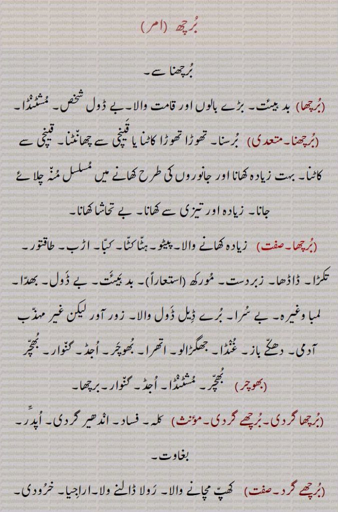  ਬੁਰਛਾ,  ਬੁਰਛਨਾ,ਬੁਰਛਾਗਰਦੀ , ਗੁੰਡਪੁਣਾ , ਬੁਰਛਾ, ਬੁਰਛਨਾ,برچھ  ,برچھنا سے,,برچھا)  بد ہیئت, بڑے بالوں اور قامت والا,بے ڈول شخص, مشٹنڈا,برچھنا, برسنا, تھوڑا تھوڑا کاٹنا یا قینچی سے چھانٹنا, قینچی سے کاٹنا, بہت زیادہ کھانا اور جانوروں کی طرح کھانے میں مسلسل منہ چلائے جانا, زیادہ اور تیزی سے کھانا, بے تحاشا کھانا,برچھا,زیادہ کھانے والا,پیٹو,ہٹا کٹا, کبا, اڑب, طاقتور, تکڑا, ڈاڈھا, زبردست, مورکھ (استعاراً), بد ہیئت, بے ڈول, بھدا, لمبا وغیرہ, بے سرا, برے ڈیل ڈول والا, زور آور لیکن غیر مہذب آدمی, دھکے باز, غنڈا, جھگڑالو, اتھرا, بھوچر, اجڈ, گنوار, بھچر (بھوچر)    بھچر, مشٹنڈا, اجڈ, گنوار,برچھا,برچھا گردی,برچھے گردی,  کلہ, فساد, اندھیر گردی, اپدّر, بغاوت,برچھے گرد, کھپ مچانے والا, رولا ڈالنے ولا,اراجیا, خرودی,