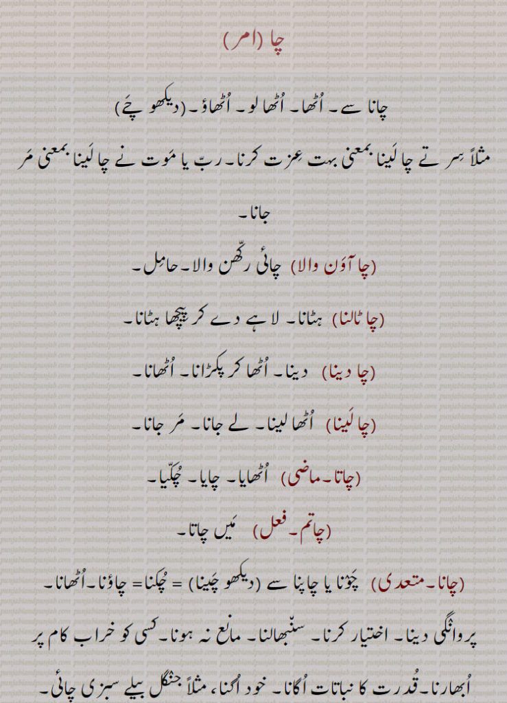 چا,ch,cha, ਚਾ,چانا سے۔ اُٹھا۔ اُٹھا لو۔ اُٹھاؤ۔(دیکھو چَے)
مثلاً سِر تے چا لَینا بمعنی بہت عِزت کرنا۔ربّ یا مَوت نے چا لَینا بمعنی مَر جانا,چا آوَن والا, چائی رکّھن والا۔حامِل,چا ٹالنا,  ہٹانا۔ لاہے دے کر پِیچھا ہٹانا,چا دینا, دینا۔ اُٹھا کر پکڑانا۔ اُٹھانا,چا لَینا,  اُٹھا لینا۔ لے جانا۔ مَر جانا,چاتا, اُٹھایا۔ چایا۔ چُکّیا,چاتم, مَیں چاتا,چانا,   چَوٛنا یا چاپنا سے (دیکھو چَینا) = چُکنا= چاؤنا۔اُٹھانا,پروانٛگی دینا۔ اختیار کرنا۔ سن٘بھالنا۔ مانع نہ ہونا۔کسی کو خراب کام پر اُبھارنا۔قُدرت کا نباتات اُگانا۔ خود اُگنا، مثلاً جنٛگل بیلے سبزی چائی,