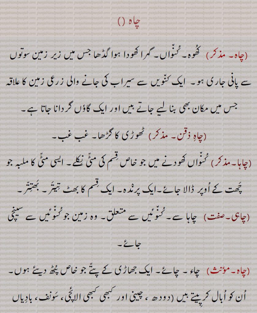 ،چاہ،  کھوہ, کنواں, گہرا کھودا ہوا گڈھا جس میں زیر زمین سوتوں سے پانی جاری ہو,  ایک کنویں سے سیراب کی جانے والی زرعی زمین کا علاقہ جس میں مکان بھی بنا لیے جاتے ہیں اور ایک گاؤں گردانا جاتا ہے،چاہ ذقن، ٹھوڑی کا گڑھا, غب غب،چاہا،  کنواں کھودنے میں جو خاص قسم کی مٹی نکلے, ایسی مٹی کا ملبہ جو چھت کے اوپر ڈالا جائے,ایک پرندہ, ایک قسم کا بھٹ تیتر, بھتتر،چاہی، چاہا سے, کنوئیں سے متعلق, وہ زمین جو کنوئیں سے سینچی جائے،  چاء, چائے, ایک جھاڑی کے پتے جو خاص پٹھ دیئے ہوں, ان کو ابال کر پیتے ہیں (دودھ ، چینی اور کبھی کبھی الائچی، سونف، بادیاں وغیرہ ملا کر یا پھولی ڈال کر )