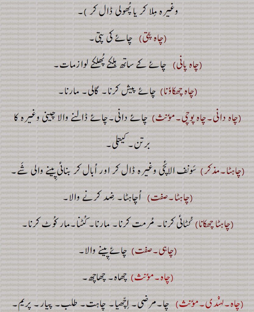 ،چاہ پتی،  چائے کی پتی،چاہ پانی،  چائے کے ساتھ ہلکے پھلکے لوازمات،چاہ چھکاؤنا،  چائے پیش کرنا, گالی, مارنا،چاہ دانی,چاہ پوچی،چائے دانی,چائے ڈالنے والا چینی وغیرہ کا برتن, کیتلی،چاہٹا، سونف الائچی وغیرہ ڈال کر اور ابال کر بنائی پینے والی شے,چاہٹا, اچاہٹا, ضد کرنے والا,چاہٹا چھکانا, کٹائی کرنا, مرمت کرنا, مارنا, کٹنا,مار کوٹ کرنا,چاہی,   چائے پینے والا, چھاہ, چھاچھ,چاہ, چا,مرضی, اچھیا, چاہت, طلب, پیار, پریم, پریت,