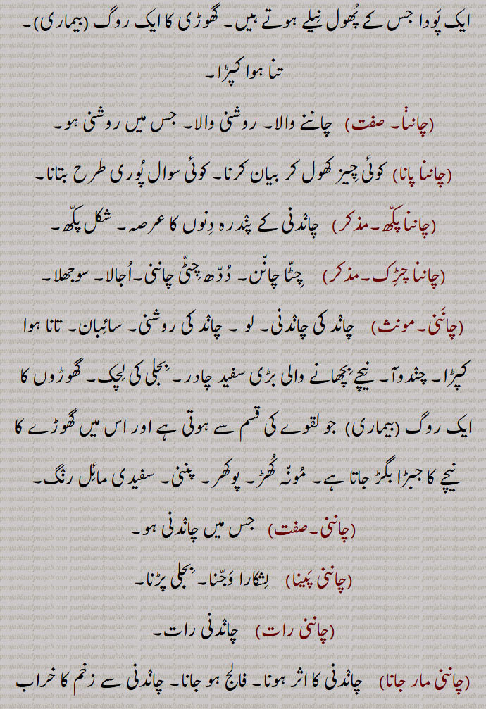  ایک پودا جس کے پھول نیلے ہوتے ہیں, گھوڑی کا ایک روگ (بیماری),  تنا ہوا کپڑا,چانن, چاننے والا, روشنی والا, جس میں روشنی ہو,چاننا پانا, کوئی چیز کھول کر بیان کرنا, کوئی سوال پوری طرح بتانا,چاننا پکھ,  چاندنی کے پندرہ دنوں کا عرصہ, شکل پکھ,چاننا چڑک,   چٹا چانن, ددھ چٹی چاننی,اجالا, سوجھلا,چاننی, چاند کی چاندنی, لو , چاند کی روشنی, سائبان, تانا ہوا کپڑا, چندوآ,  نیچے بچھانے والی بڑی سفید چادر, بجلی کی لچک, گھوڑوں کا ایک روگ (بیماری)  جو لقوے کی قسم سے ہوتی ہے اور اس میں گھوڑے کا نیچے کا جبڑا بگڑ جاتا ہے, مونہ کھڑ, پوکھر, پننی, سفیدی مائل رنگ,چاننی,  جس میں چاندنی ہو,چاننی پینا, لشکارا وجنا, بجلی پڑنا,چاننی رات,  چاندنی رات,چاننی مار جانا, چاندنی کا اثر ہونا, فالج ہو جانا, چاندنی سے زخم کا خراب ہو جانا, بجلی چمکنے سے فصل کا ناس ہو جانا,کنکری,