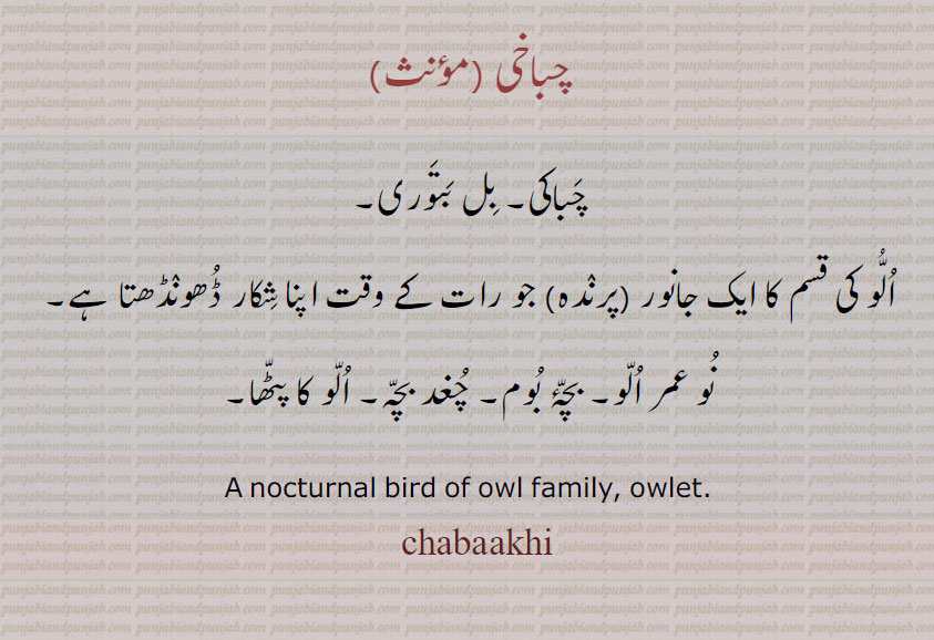 chabakhi, ਚਬਾਖ਼ੀ,   ਬਿਲਬਤੌਰੀ,,چباخی ,چباکی, بل بتوری,
الُو کی قسم کا ایک جانور (پرندہ) جو رات کے وقت اپنا شکار ڈھونڈھتا ہے,نو عمر الو, بچۂ بوم, چغد بچہ, الو کا پٹھا,A nocturnal bird of owl family, owlet.chabaakhi,