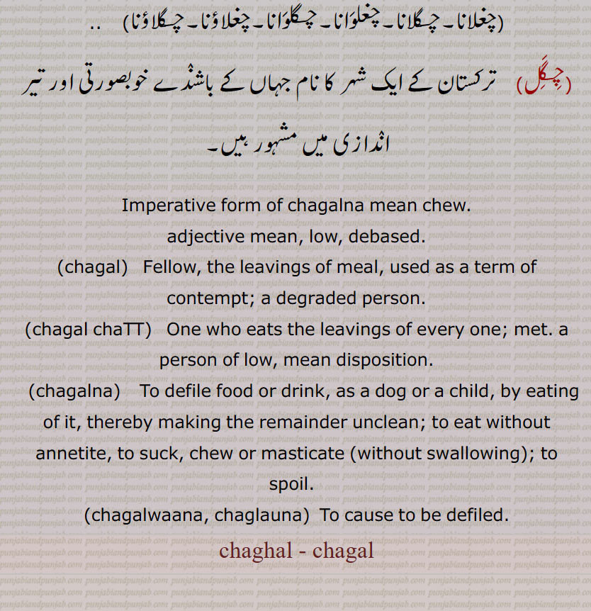  Imperative form of chagalna mean chew.
adjective mean, low, debased.,chagal,  Fellow, the leavings of meal, used as a term of contempt; a degraded person.,chagal chaTT, One who eats the leavings of every one; met. a person of low, mean disposition.,chagalna, To defile food or drink, as a dog or a child, by eating of it, thereby making the remainder unclean; to eat without annetite, to suck, chew or masticate (without swallowing); to spoil.  ,chagalwaana, chaglauna, To cause to be defiled.,chaghal - chagal, ਚਗਲ , ਚਗਲਨਾ , To defile food or drink, as a dog or a child, by eating of it, thereby making the remainder unclean; to eat without annetite.,ਚਗਲਾਉਣਾ ,