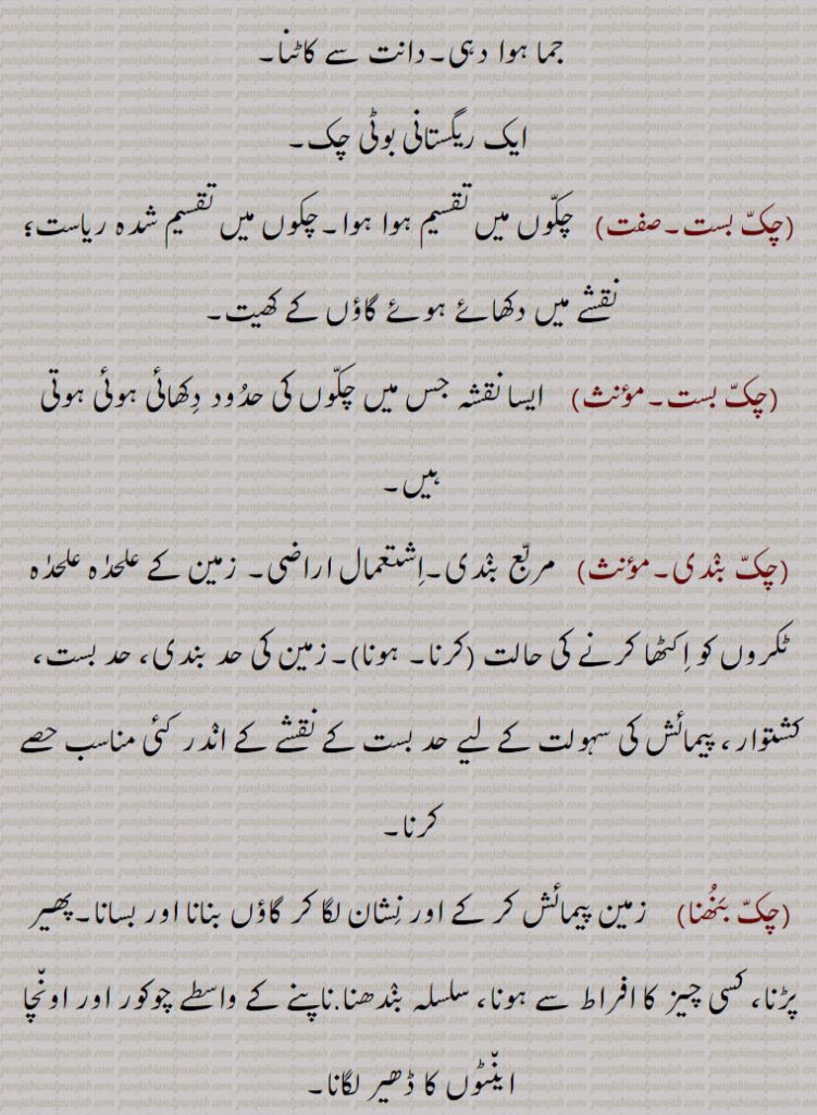 
 ایک ریگستانی بوٹی چک,چکّ بست,چکّوں میں تقسیم ہوا ہوا۔چکوں میں تقسیم شدہ ریاست؛ نقشے میں دکھائے ہوئے گاؤں کے کھیت,چکّ بست,ایسا نقشہ جس میں چکّوں کی حدُود دِکھائی ہوئی ہوتی ہیں,چکّ بنٛدی, مربّع بنٛدی۔اِشتعمال اراضی۔ زمین کے علحدٰہ علحدٰہ ٹکروں کو اِکٹھا کرنے کی حالت (کرنا۔ ہونا)۔زمین کی حد بندی، حد بست، کشتوار، پیمائش کی سہولت کے لیے حد بست کے نقشے کے انٛدر کئی مناسب حصے کرنا,چکّ بَنُھنا, زمین پیمائش کر کے اور نِشان لگا کر گاؤں بنانا اور بسانا۔پھیر پڑنا، کسی چیز کا افراط سے ہونا، سلسلہ بنٛدھنا.ناپنے کے واسطے چوکور اور اون٘چا این٘ٹوں کا ڈھیر لگانا,