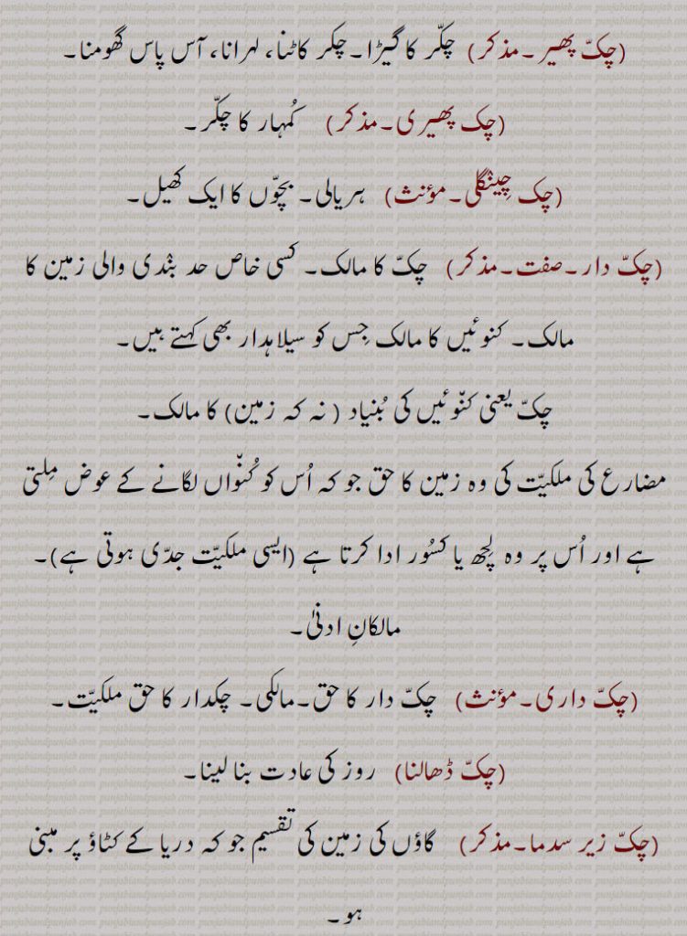 چکّ پھیر, چکّر کا گیڑا۔چکر کاٹنا، لہرانا، آس پاس گھومنا,چک پھیری,  کُمہار کا چکّر,چک چِینٛگلی, ہریالی۔ بچّوں کا ایک کھیل,چکّ دار, چکّ کا مالک۔ کسی خاص حد بنٛدی والی زمین کا مالک۔ کنوئیں کا مالک جِس کو سیلاہدار بھی کہتے ہیں,چکّ یعنی کن٘وئیں کی بُنیاد ( نہ کہ زمین) کا مالک۔
مضارع کی ملکیّت کی وہ زمین کا حق جو کہ اُس کو کُن٘واں لگانے کے عوض مِلتی ہے اور اُس پر وہ  لِچھ یا کسُور ادا کرتا ہے (ایسی ملکیّت جدّی ہوتی ہے),مالکانِ ادنیٰ,چکّ داری, چکّ دار کا حق۔مالکی۔ چکدار کا حق ملکیّت,چکّ ڈھالنا, روز کی عادت بنا لینا,چکّ زیر سدما,    گاؤں کی زمین کی تقسیم جو کہ دریا کے کٹاؤ پر مبنی ہو,