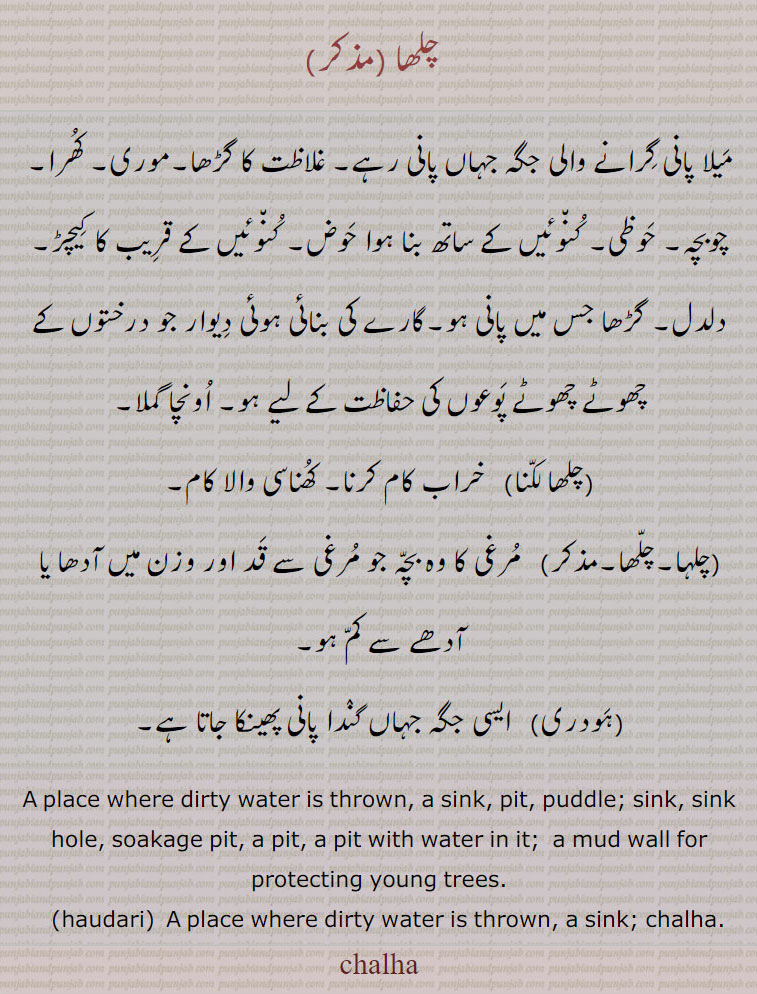 ਚਲ੍ਹਾ,ਹੌਦਰੀ,چلھا ,میلا پانی گرانے والی جگہ جہاں پانی رہے, غلاظت کا گڑھا,موری, کھرا, چوبچہ, حوظی, کنوئیں کے ساتھ بنا ہوا حوض, کنوئیں کے قریب کا کیچڑ, دلدل, گڑھا جس میں پانی ہو,گارے کی بنائی ہوئی دیوار جو درختوں کے چھوٹے چھوٹے پودوں کی حفاظت کے لیے ہو, اونچا گملا,چلھا لکنا,   خراب کام کرنا, کھناسی والا کام,چلہا,چلھا, مرغی کا وہ بچہ جو مرغی سے قد اور وزن میں آدھا یا آدھے سے کم ہو,ہودری,A lace where drty water s thrown, a snk, t, uddle; snk, snk hole, soakage t, a t, a t wth water n t;  a mud wall for rotectng young trees.,haudar,  A lace where drty water s thrown, a snk; chalha.,chalha,