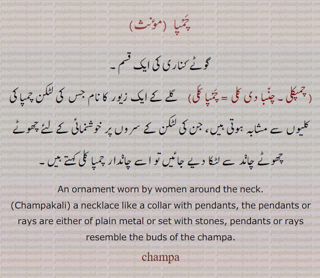  گوٹے کناری کی قسم۔چنبا دی کلی۔ چمپا کلی۔ چمپکلی۔ گلے کے ایک زیور کا نام۔ جس کی لٹکن۔ چمپا کی کلیوں سے ملتی ہے نیچے لٹخن کے چھوٹے چاند ہوں تو چاندار چمپا کلی۔نیکلس۔ ہار۔champakali. necklace. likw collar with pendants. either of plain metal or set with stone. rays resemble the buds of tha champa fallwer,chamba - chaNba - champa, champa,ਚੰਬਾ,ਚੰਪਾ,ਚਮਬਾ , ਚਨਬਾ,