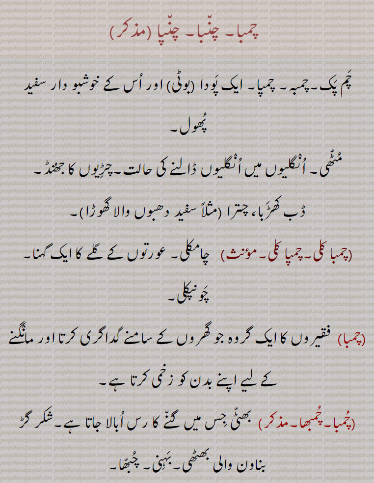   چمبا, چنبا, چنپا ,چم پک,چمبہ, چمپا, ایک پودا (بوٹی) اور اس کے خوشبو دار سفید پھول,مٹھی, انگلیوں میں انگلیوں ڈالنے کی حالت,چڑیوں کا جھنڈ,
ڈب کھڑبا، چترا  مثلاً سفید دھبوں والا گھوڑا ,چمبا کلی,چمپا کلی,چامکلی, عورتوں کے گلے کا ایک گہنا, چونپکلی, فقیروں کا ایک گروہ جو گھروں کے سامنے گداگری کرتا اور مانگنے کے لیے اپنے بدن کو زخمی کرتا ہے,چمبھا, بھٹی جس میں گنے کا رس ابالا جاتا ہے,شکر گڑ بناون والی بھٹھی,بہنی, چبھا,چنبا,  پنجہ کی بگڑی ہوئی شکل,ہاتھ,جانور دا پنجہ,ہاتھ جس کی انگلیاں پھیلائی ہوئی ہوں, پھیلائے ہوئے ہاتھ کا ریت پر نشان,چنبا دینا, دستگیری کرنا, چنبے دینا,  مقابلہ کرنا, چنبے مارنا)  لالچ کر کے چمٹ جانا,